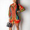 Striped Baroque Print Buttoned Shirt Dress