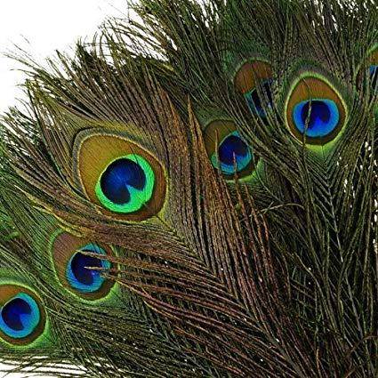 Peacock Feather Print Fashion Trend