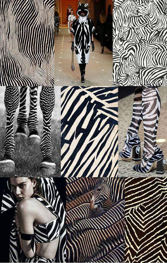 Zebra Print Fashion Trend