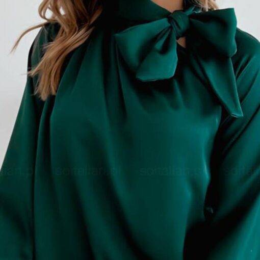 Elegant Bow Neck Long-sleeves Blouse